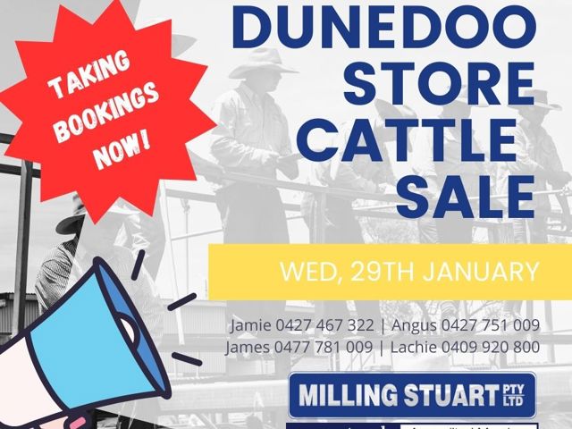 Dunedoo Monthly Store Cattle Sale